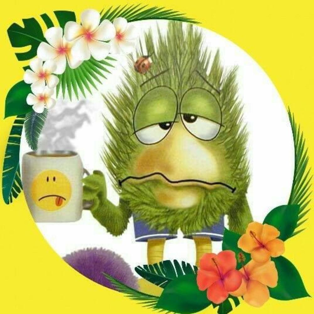 Meet your Posher, Betty